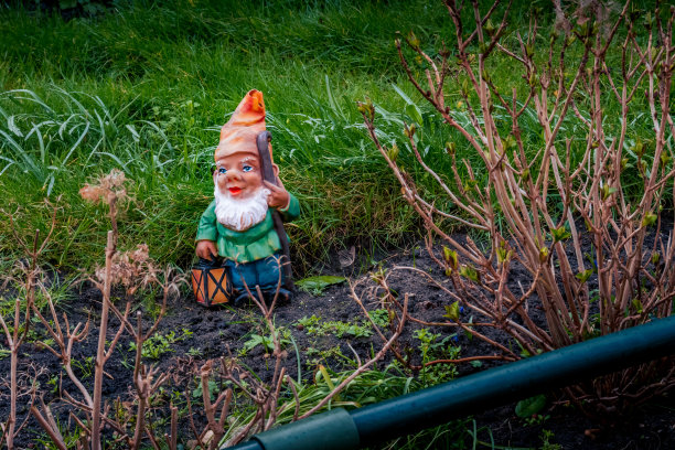 gnome