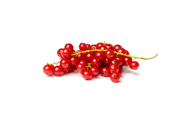 redcurrant