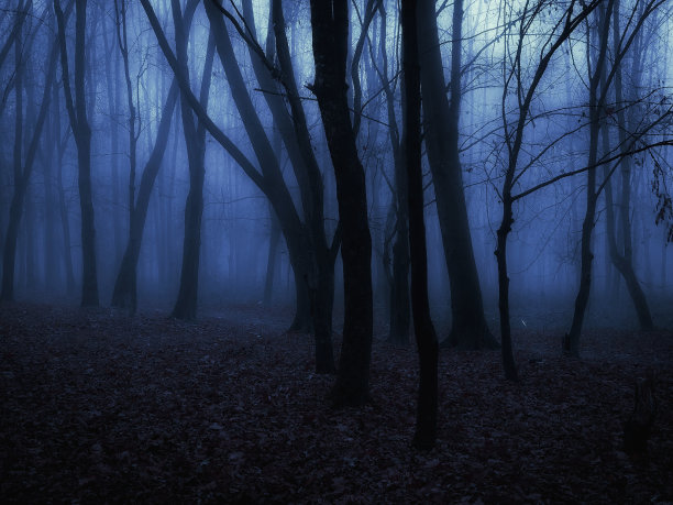 quiet