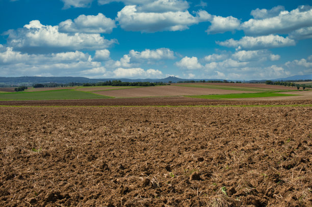 ground