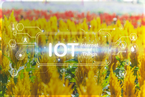 iot