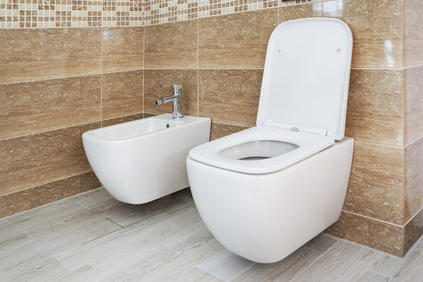 bidet