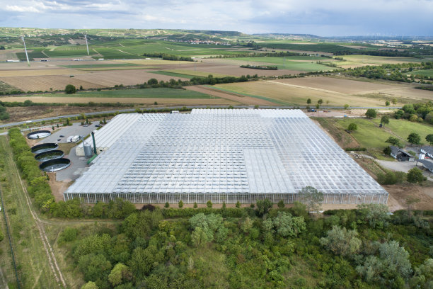greenhouse