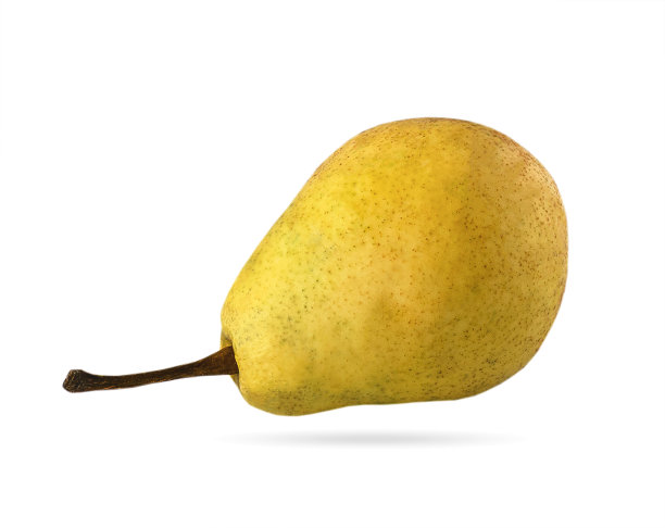 pyrus