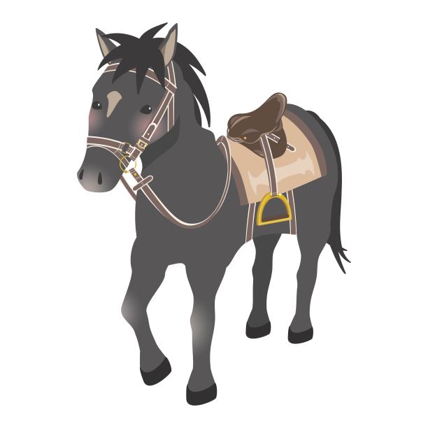 2026年十二生肖马