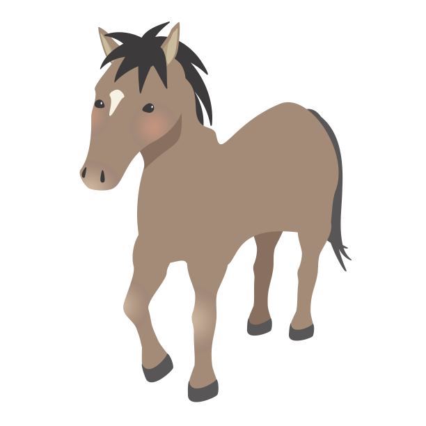 2026年十二生肖马