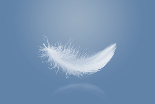 plumage