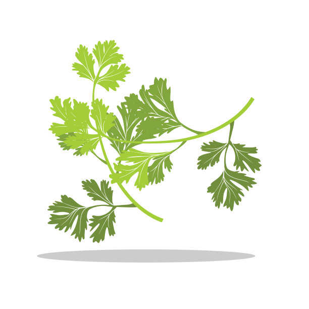 celery