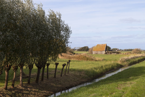 _texel