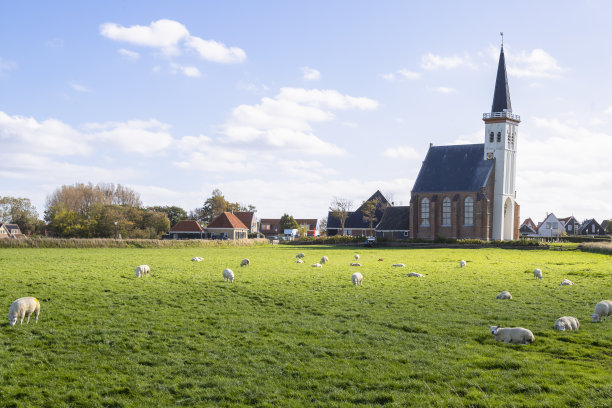 _texel
