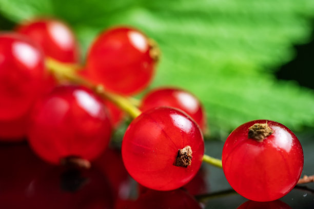 redcurrant