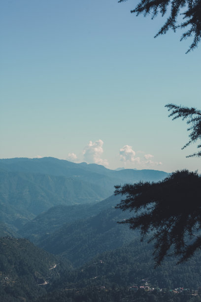 simla