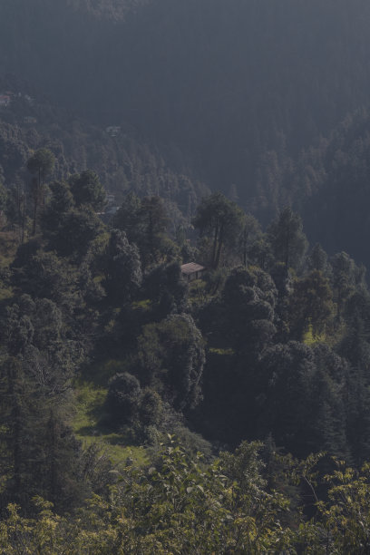 simla