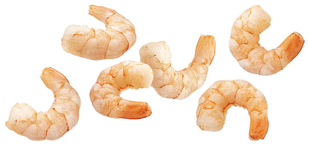 shrimps