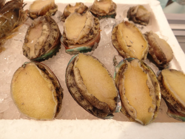 abalone