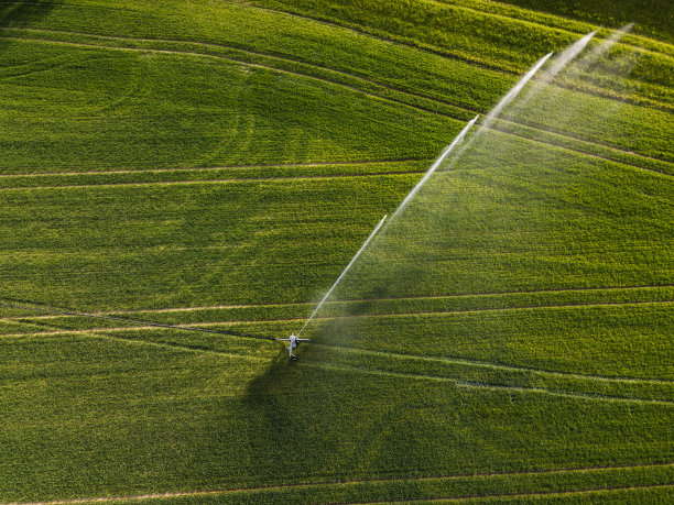 irrigation
