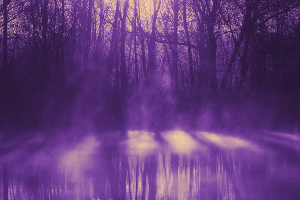 swamp