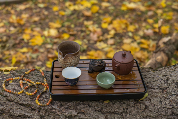 传统茶艺表演