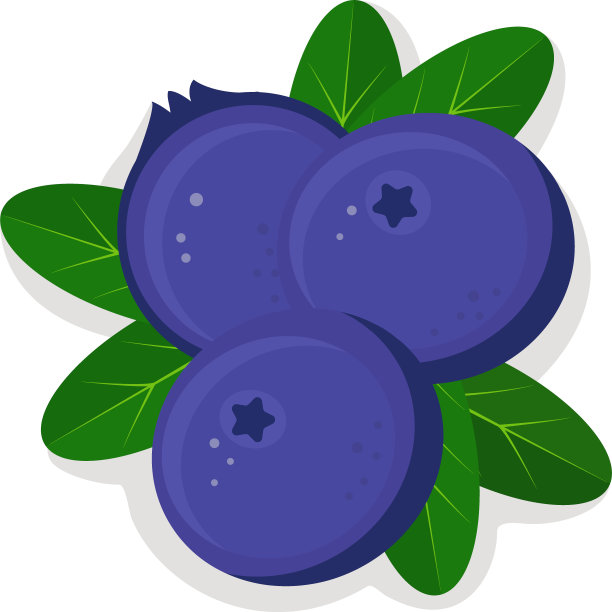 蓝莓,浆果,清新