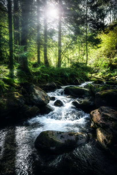 rapids