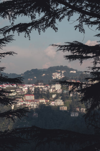 simla