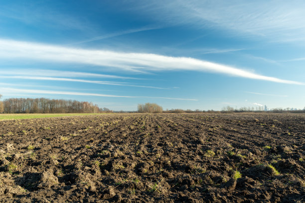 ground