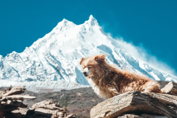 nepal