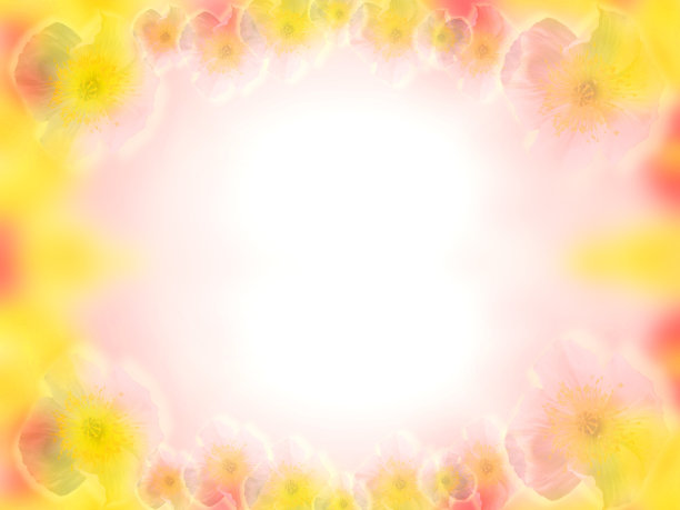 精美圆形渐变花纹图案