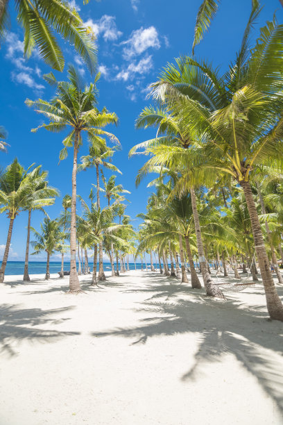bohol