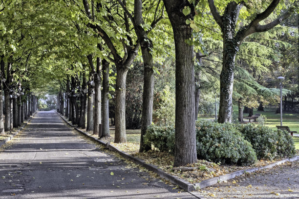avenue