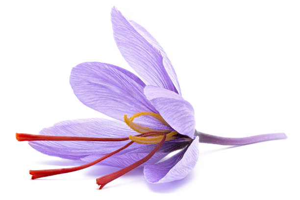 saffron