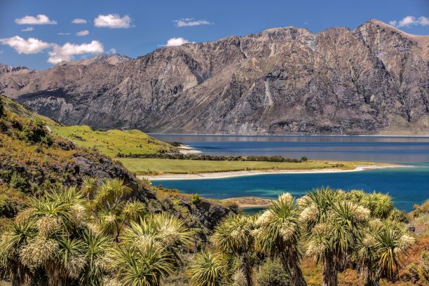 hawea