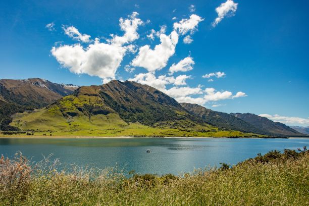 hawea
