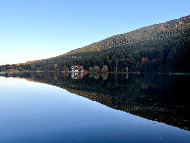 bolu