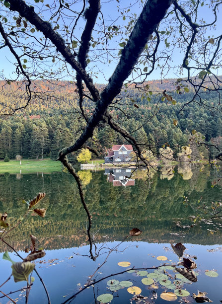 bolu