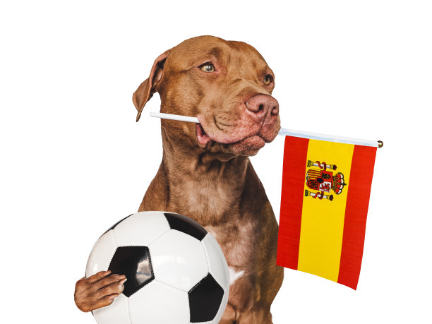 西班牙足球运动员拿着球