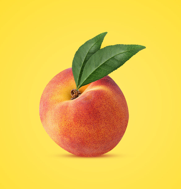 nectarines