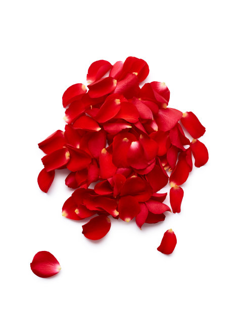 花簇,花的组成部分,花