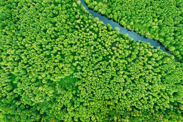 eco