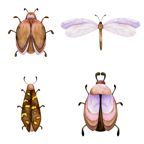 entomology