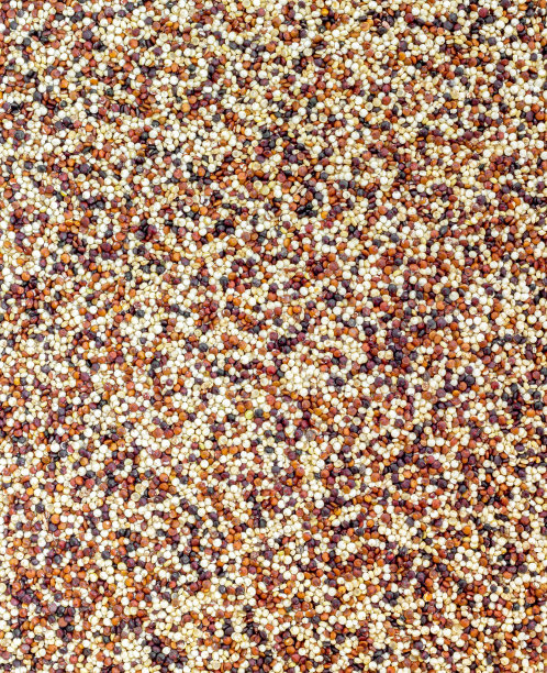 quinoa