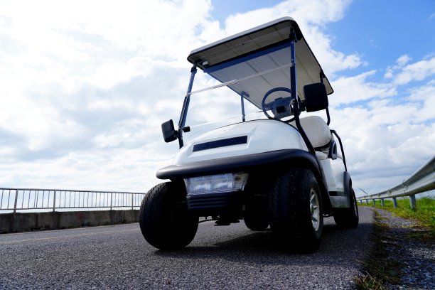 buggy