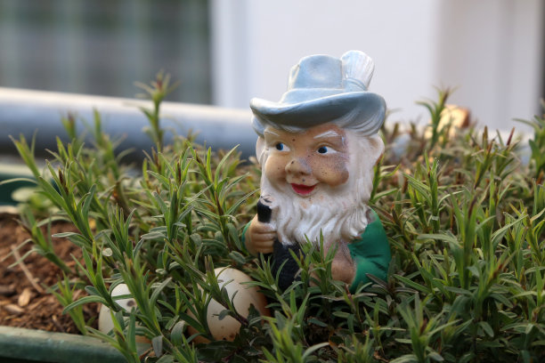 gnome
