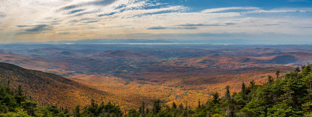 vt