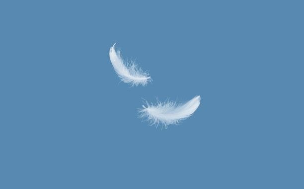 plumage