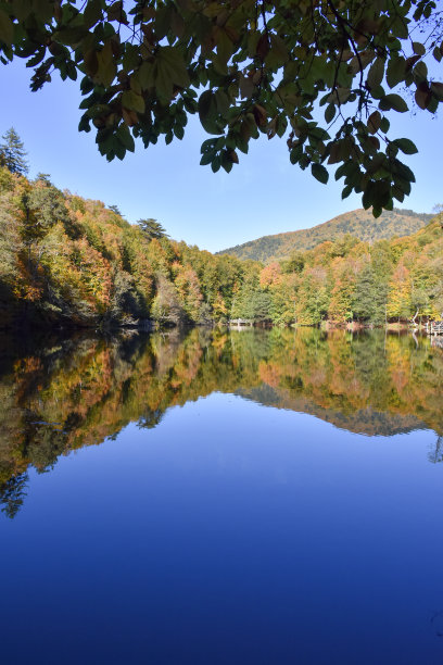 蓝天森林湖景