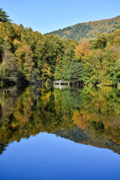 蓝天森林湖景