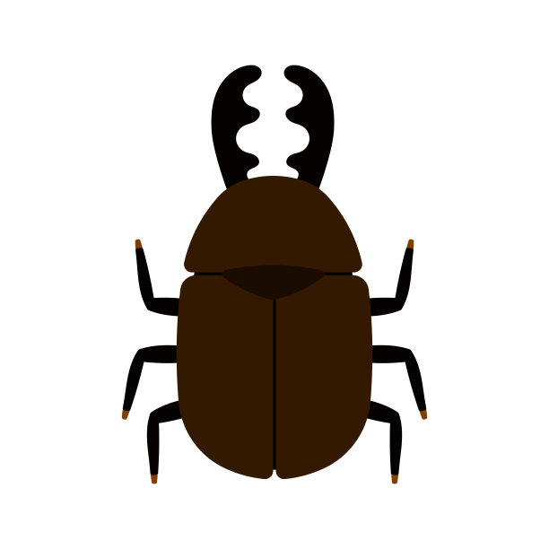 beetles