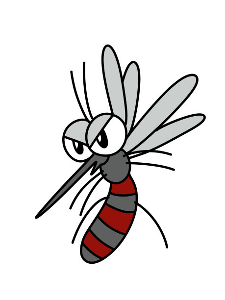 mosquito