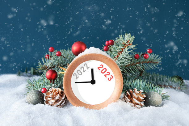 newyear